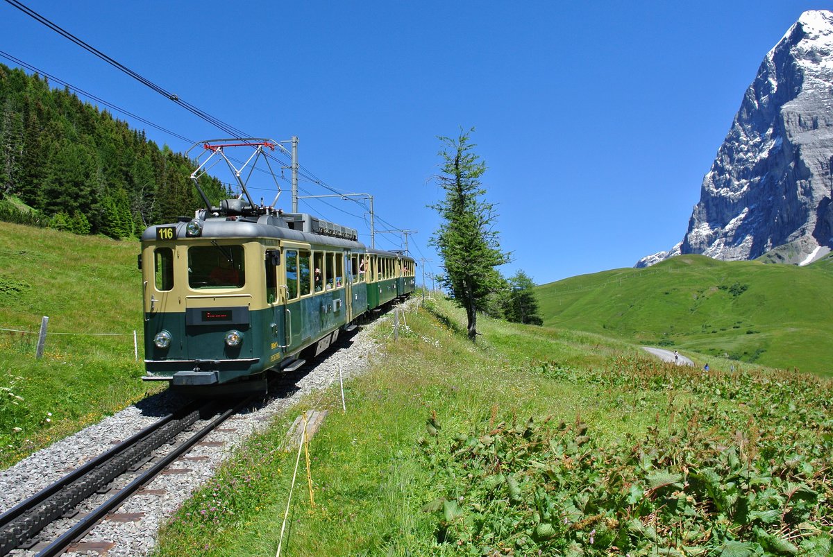 BDeh 4/4 Nr. 116 zwischen kleine Scheidegg und Wengernalp, 19.07.2016.

