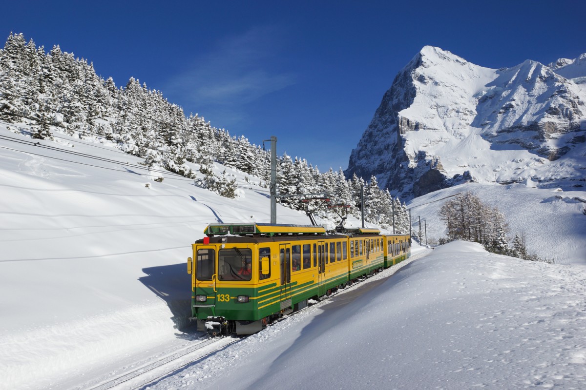 BDhe 4/8 133 fährt am 18.01.2015 von der Kleinen Scheidegg Richtung Lauterbrunnen, aufgenommen oberhalb der Wengernalp.