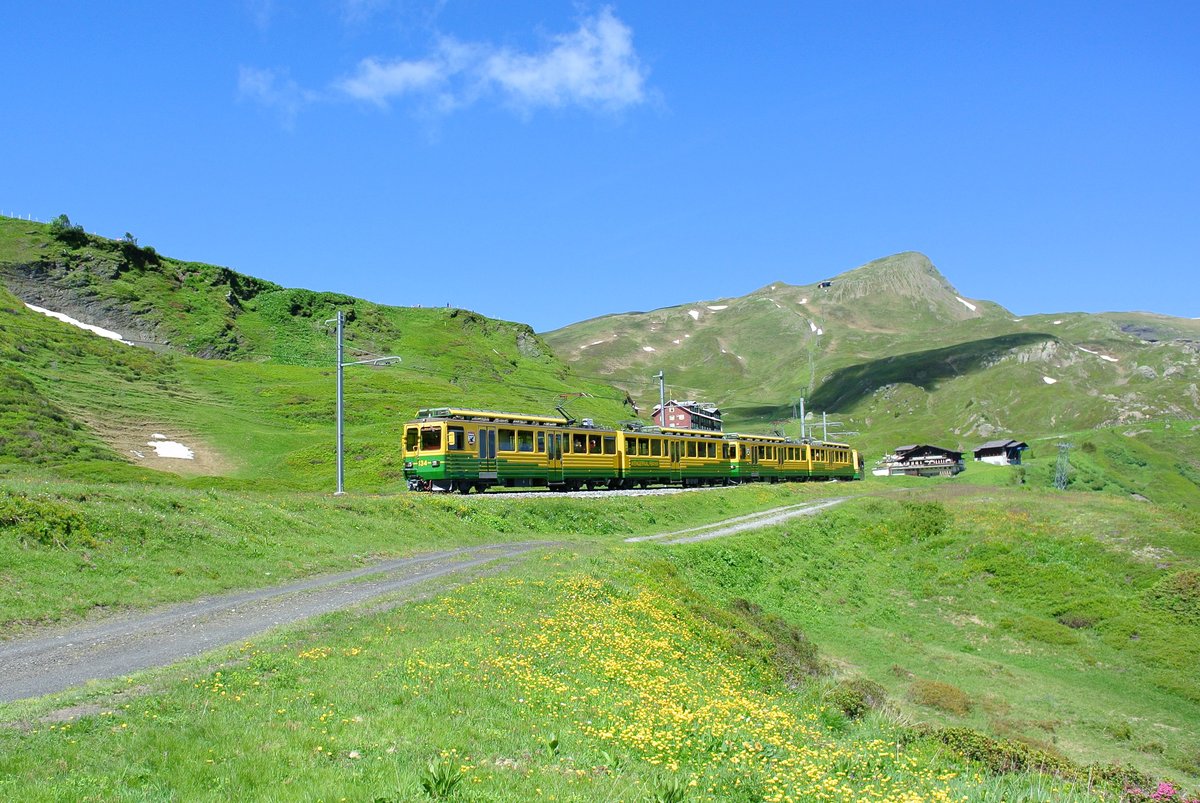 BDhe 4/8 134+132 sowie ein Gelenksteuerwagen unterhalb von kleine Scheidegg, 04.07.2016.
