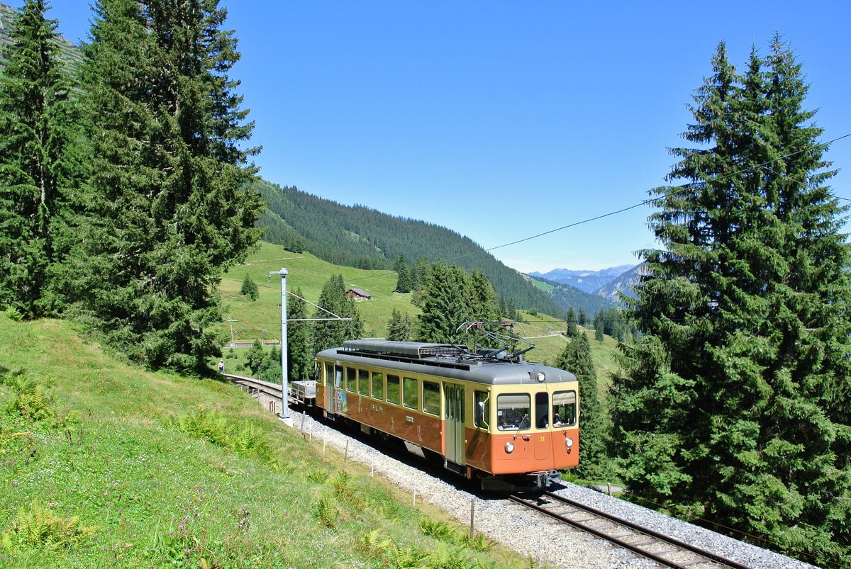 Be 4/4 31  Lisi  (ex. ASM Oberaargau, Bipperlisi) zwischen Grtschalp und Winteregg, 13.08.2016.

