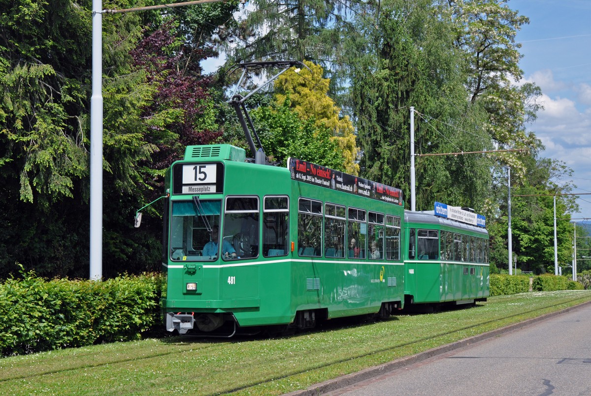 Be 4/4 481 zusammen mit dem B 1466 S auf der Linie 16 fahren zur Haltestelle Hauensteinstrasse. Die Aufnahme stammt vom 18.05.2015.