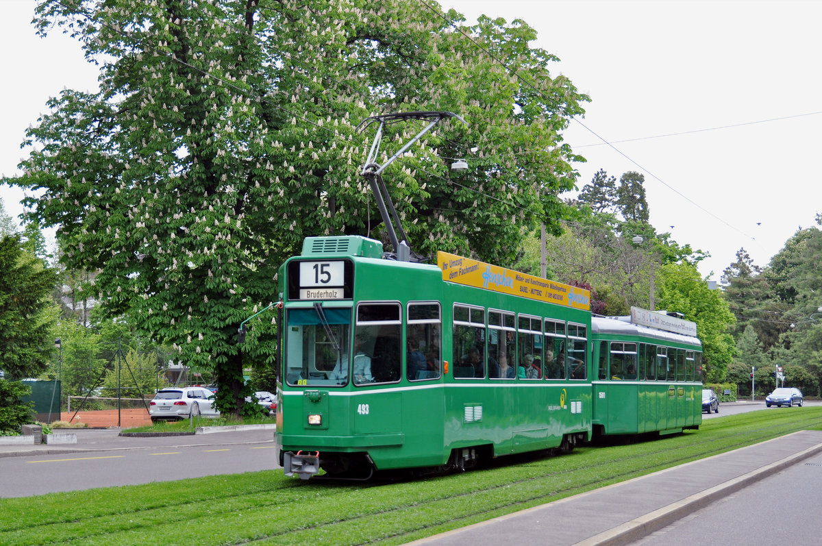 Be 4/4 493, zusammen mit dem B4S 1501, fahren zur Haltestelle Grosspeterstrasse. Die Aufnahme stammt vom 11.05.2017.