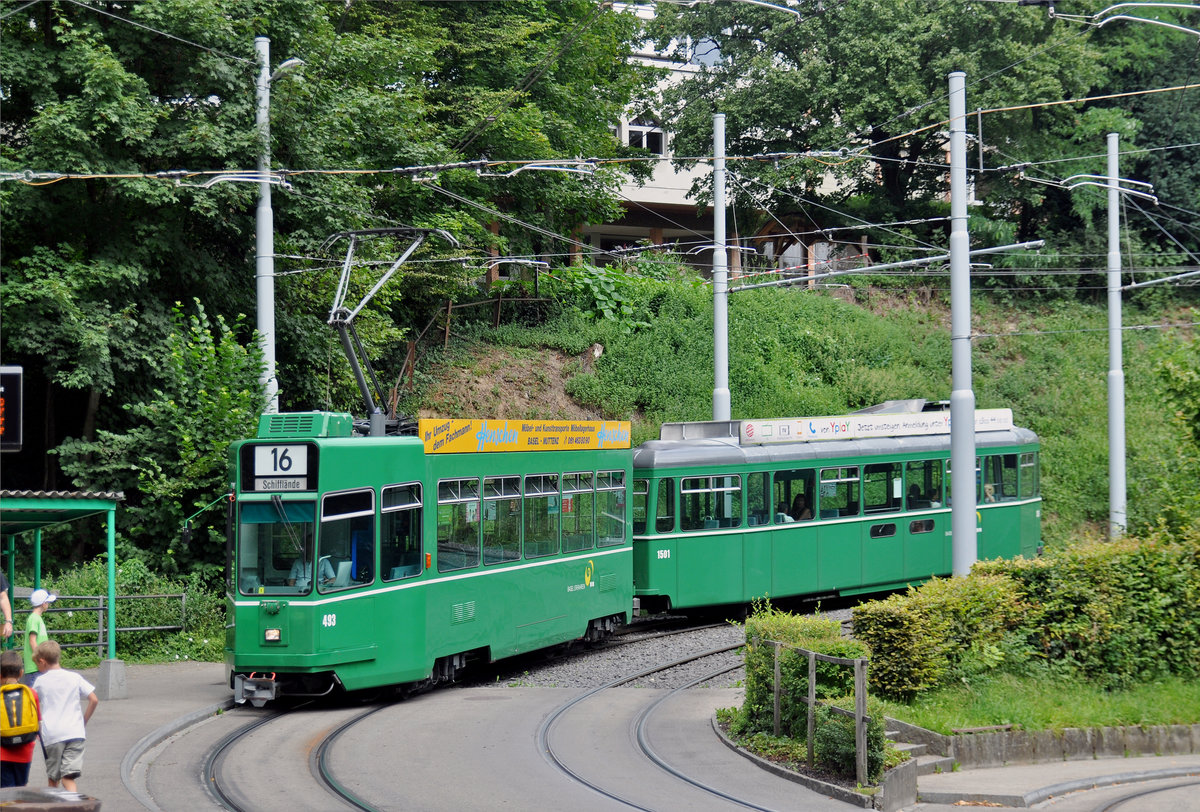 Be 4/4 493 zusammen mit dem B4S 1501, auf der Linie 16, fahren bei der Haltestelle Jakobsberg ein. Die Aufnahme stammt vom 06.08.2017.