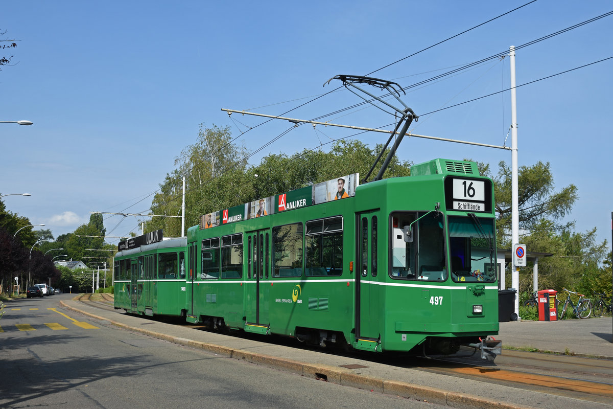 Be 4/4 497 zusammen mit dem B4S 1491, auf der Linie 16, wartet an der Endhaltestelle auf dem Bruderholz. Die Aufnahme stammt vom 08.08.2018.