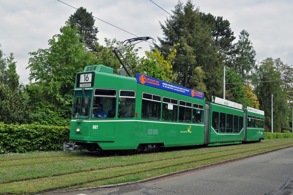 Be 4/6 667 auf der Linie 15/16 kurz vor der Haltestelle Hauensteinstrasse. Die Aufnahme stammt vom 29.04.2014.