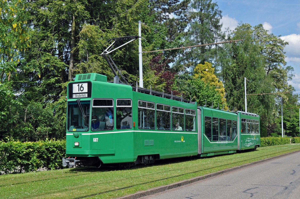 Be 4/6 S 667 auf der Linie 16 fährt zur Haltestelle Hauensteinstrasse. Die Aufnahme stammt vom 18.05.2015.