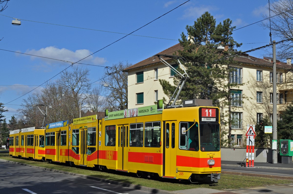 Be 4/8 205 zusammen mit dem Be 4/6 257 fahren während den Umleitungen anlässlich der Basler Fasnacht via Aeschenplatz Grosspeterstrasse nach Aesch. Die Aufnahme stammt vom 25.02.2015.