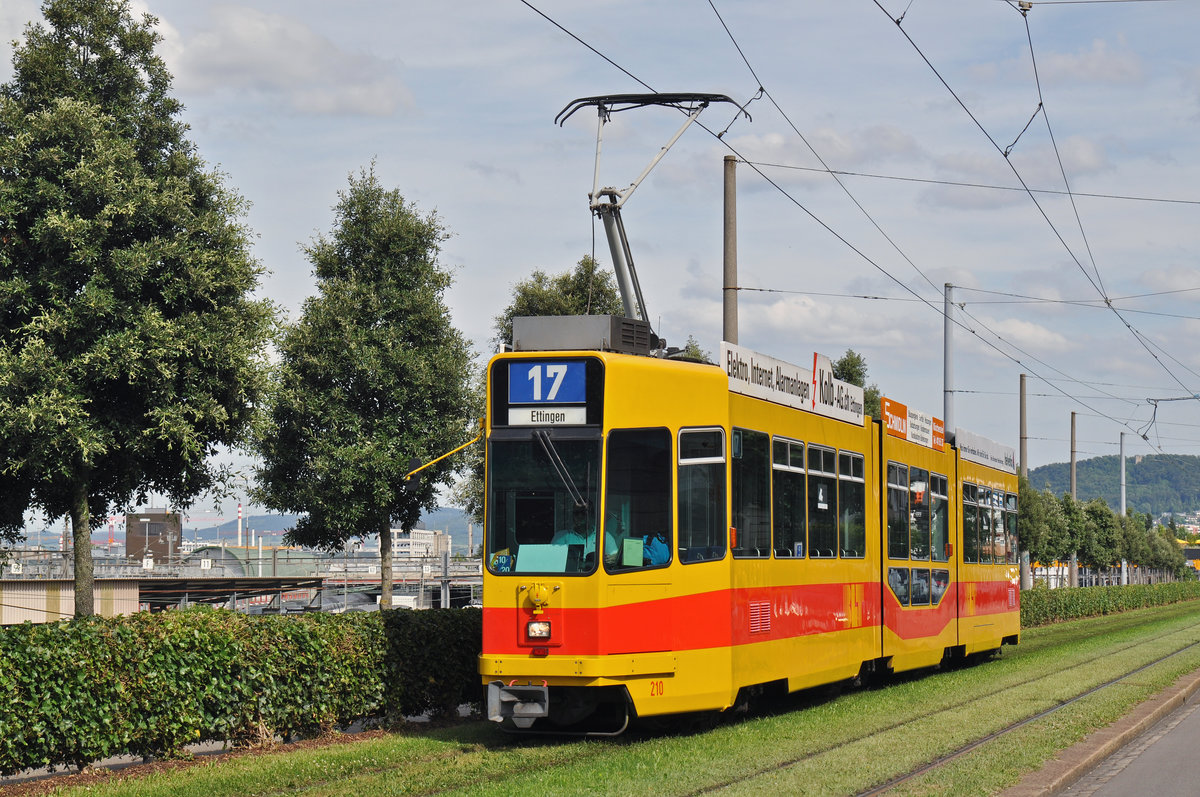 Be 4/8 210, auf der wegen einer Innerstadt Sperrung umgeleiteten Linie 17, fährt zur Haltestelle Münchensteinerstrasse. Die Aufnahme stammt vom 06.07.2016. 