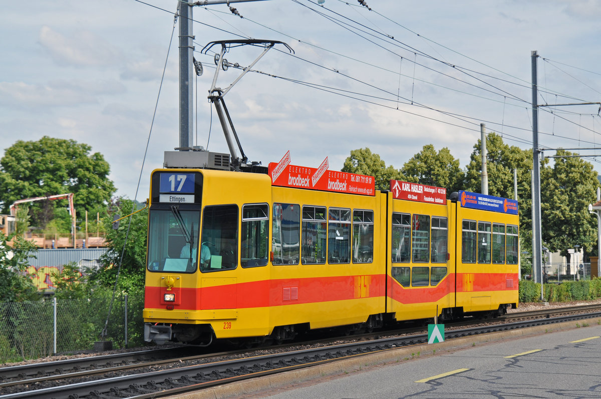 Be 4/8 239, auf der wegen einer Innerstadt Sperrung umgeleiteten Linie 17, fährt zur Haltestelle Münchensteinerstrasse. Die Aufnahme stammt vom 06.07.2016.