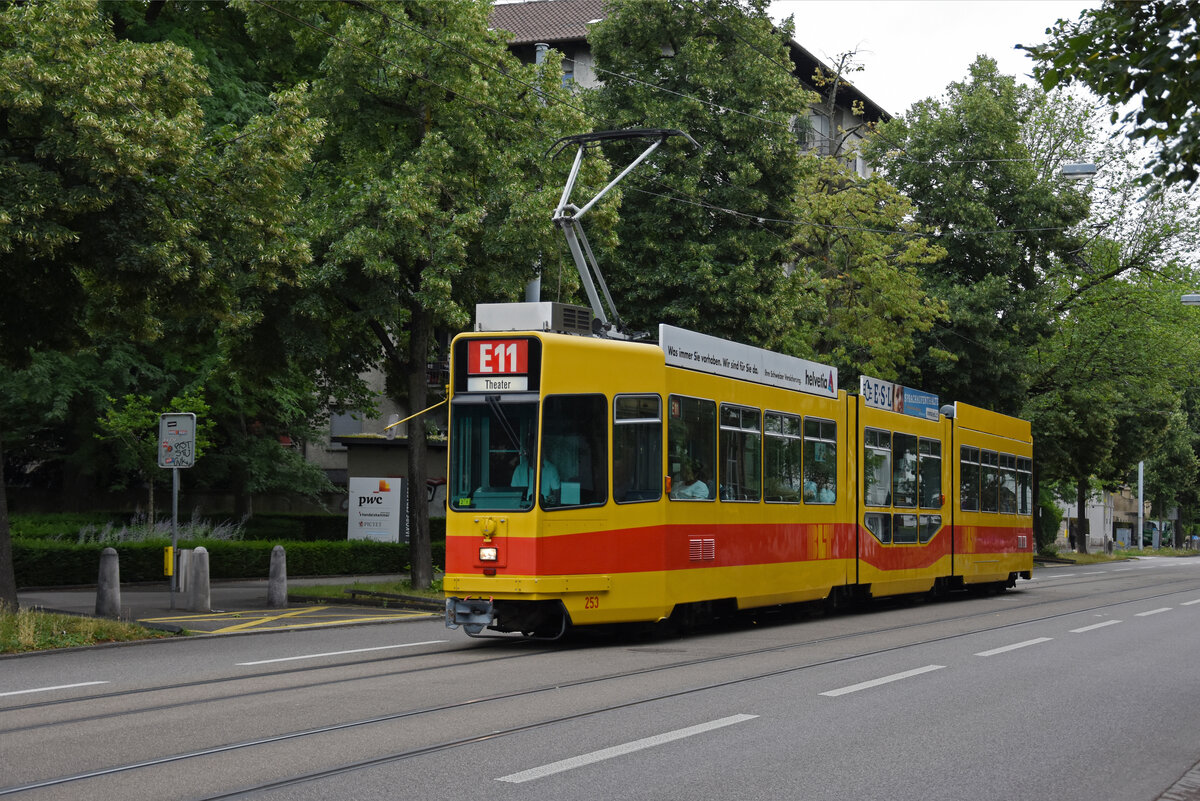 Be 4/8 253, auf der Linie E11, fährt zur Haltestelle am Aeschenplatz. Die Aufnahme stammt vom 28.06.2022.