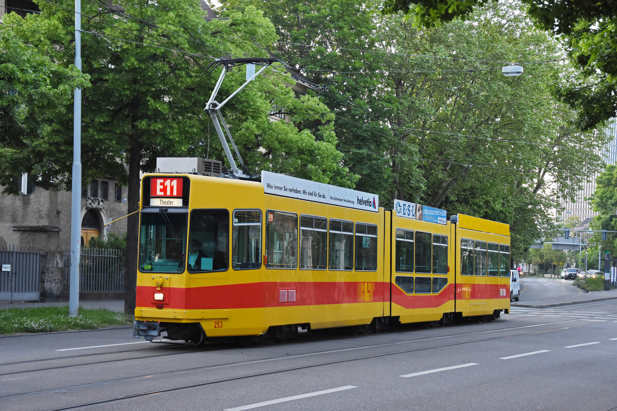 Be 4/8 253, auf der Linie E11, fährt zur Haltestelle am Aeschenplatz. Die Aufnahme stammt vom 11.05.2022.