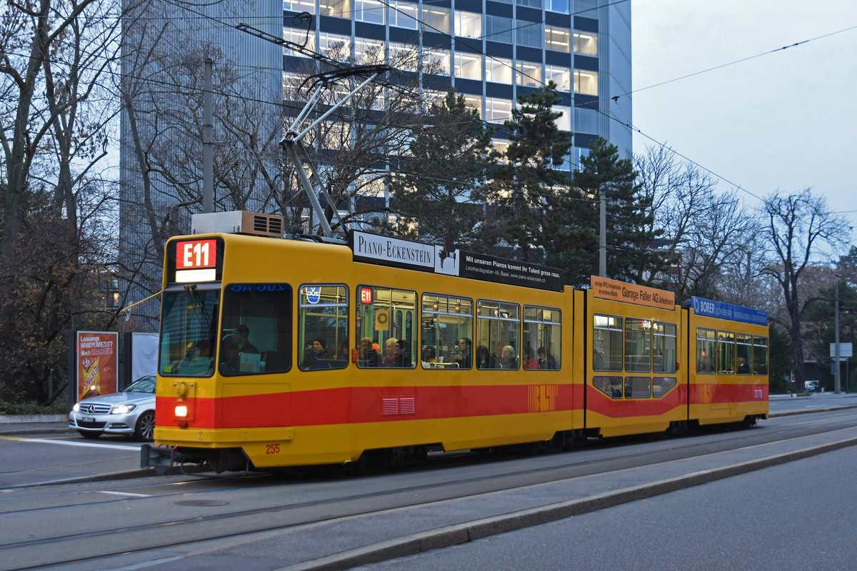 Be 4/8 255, auf der Linie 11E, bedient die Haltestelle Grosspeterstrasse. Die Aufnahme stammt vom 05.12.2018.
