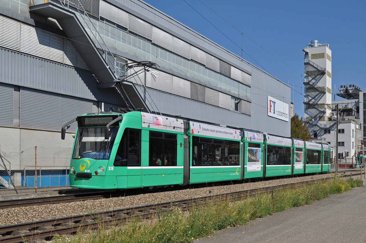 Be 6/8 Combino 318, mit einer Teilwerbung für Pro Innerstadt, fährt zur Haltestelle der Linie 14 an der Lachmatt. Die Aufnahme stammt vom08.09.2016.