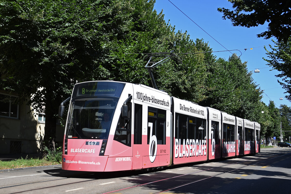 Be 6/8 Combino 667 mit der Werbung für 100 Jahre Blaser Café, auf der Linie 8, fährt am 08.07.2022 durch die Thunstrasse.