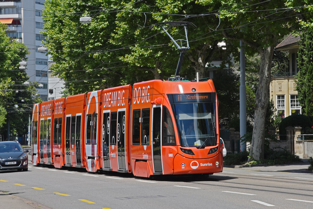 Be 6/8 Flexity 5003 mit der Sunrise Werbung, auf der Linie 8, fährt zur Haltestelle ZOO Bachletten. Die Aufnahme stammt vom 05.07.2022.