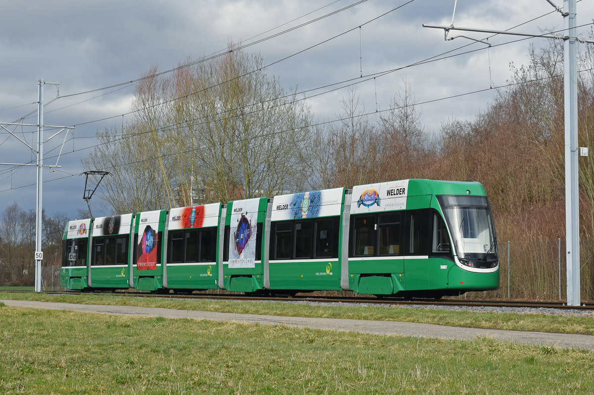 Be 6/8 Flexity 5007, auf der Linie 14, fährt zur Haltestelle Rothausstrasse. Die Aufnahme stammt vom 05.03.2019.