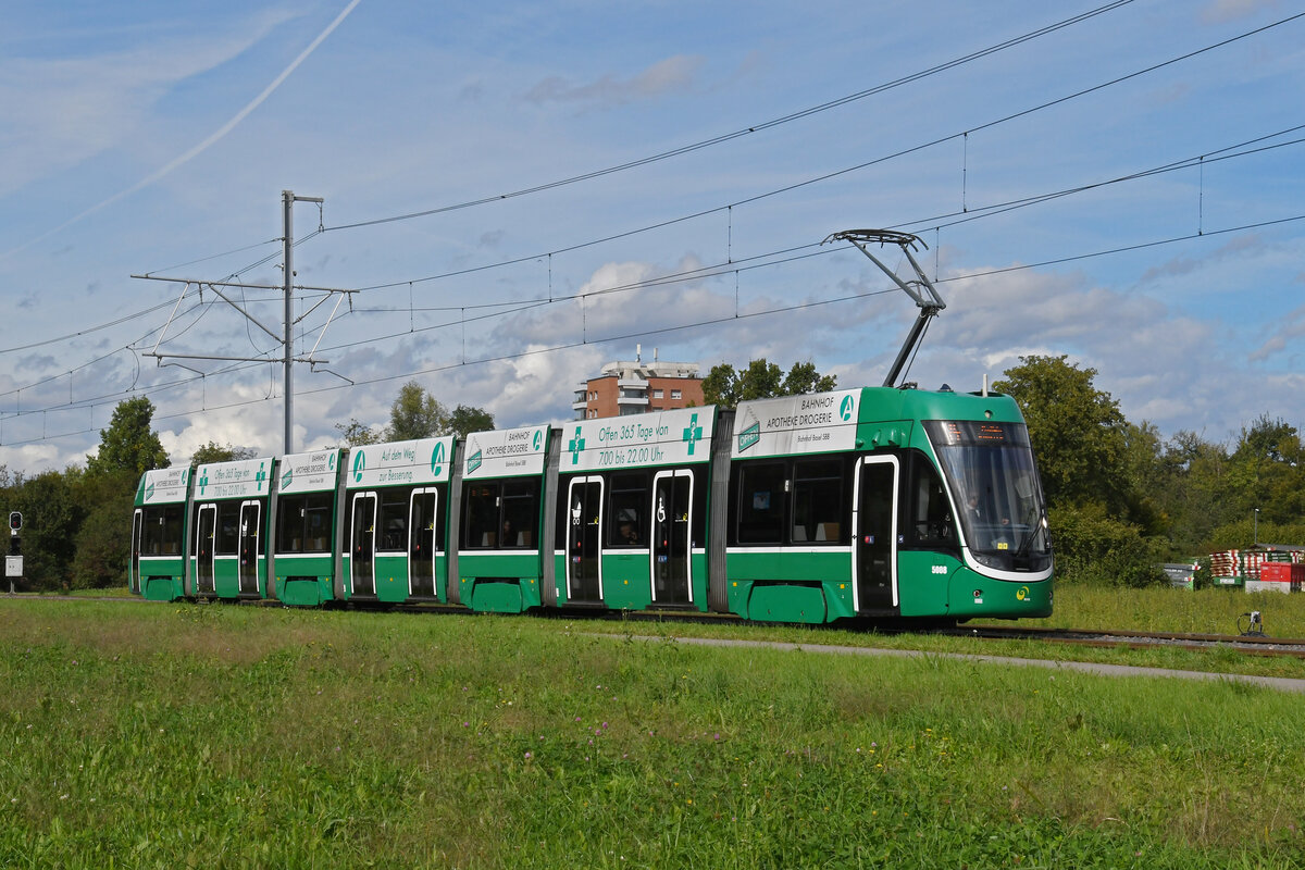 Be 6/8 Flexity 5008, auf der Linie 14, fährt am 30.09.2024 zur Haltestelle Lachmatt. Aufnahme Muttenz.