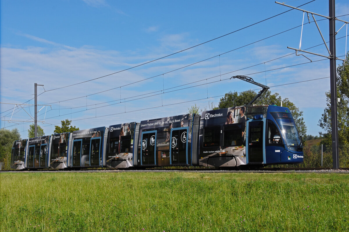 Be 6/8 Flexity 5009 mit der Elektrolux Werbung, auf der Linie 14, fährt zur Haltestelle Lachmatt. Die Aufnahme stammt vom 03.09.2021.