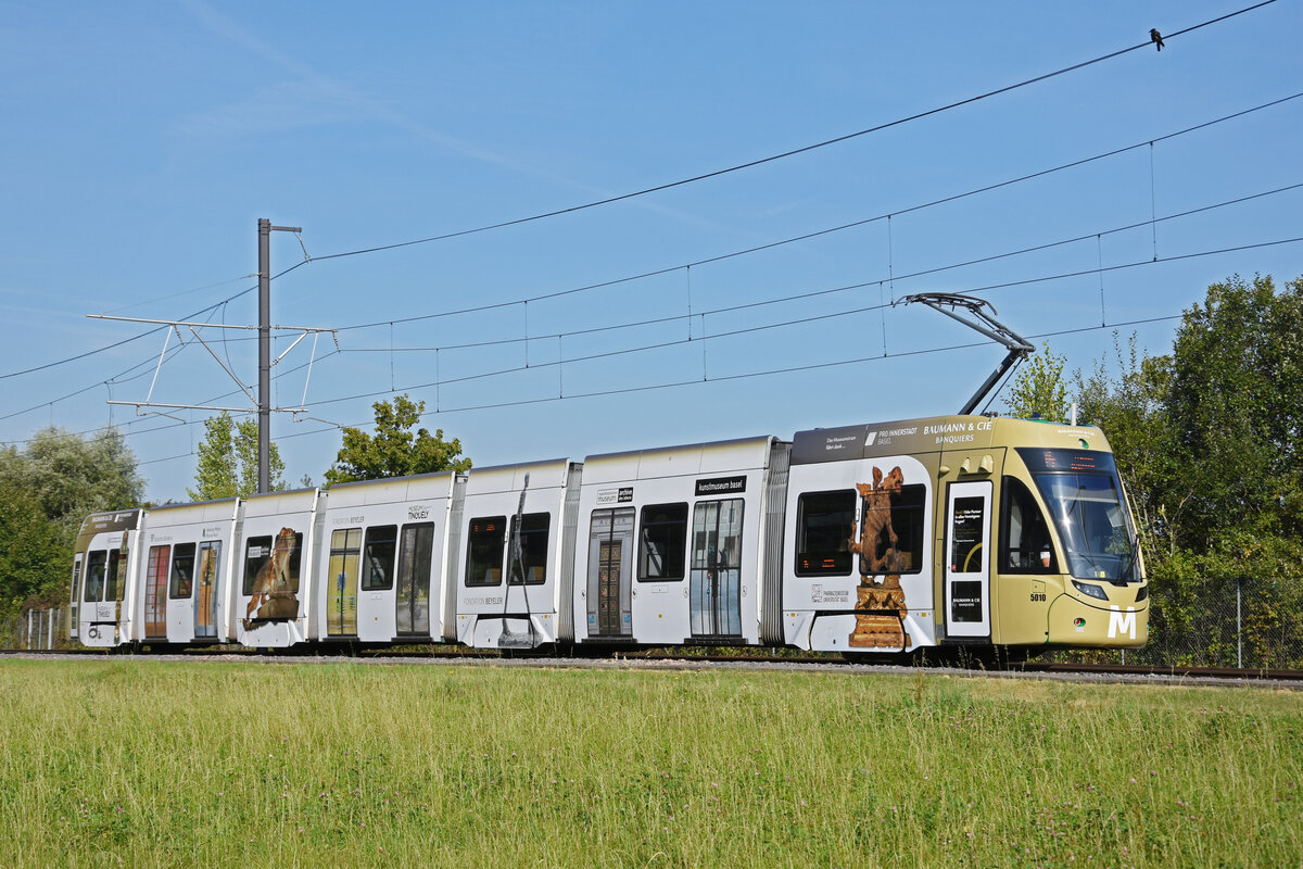 Be 6/8 Flexity 5010 mit der Werbung für die Basler Museen, auf der Linie 14, fährt zur Haltestelle Lachmatt. Die Aufnahme stammt vom 08.09.2021.