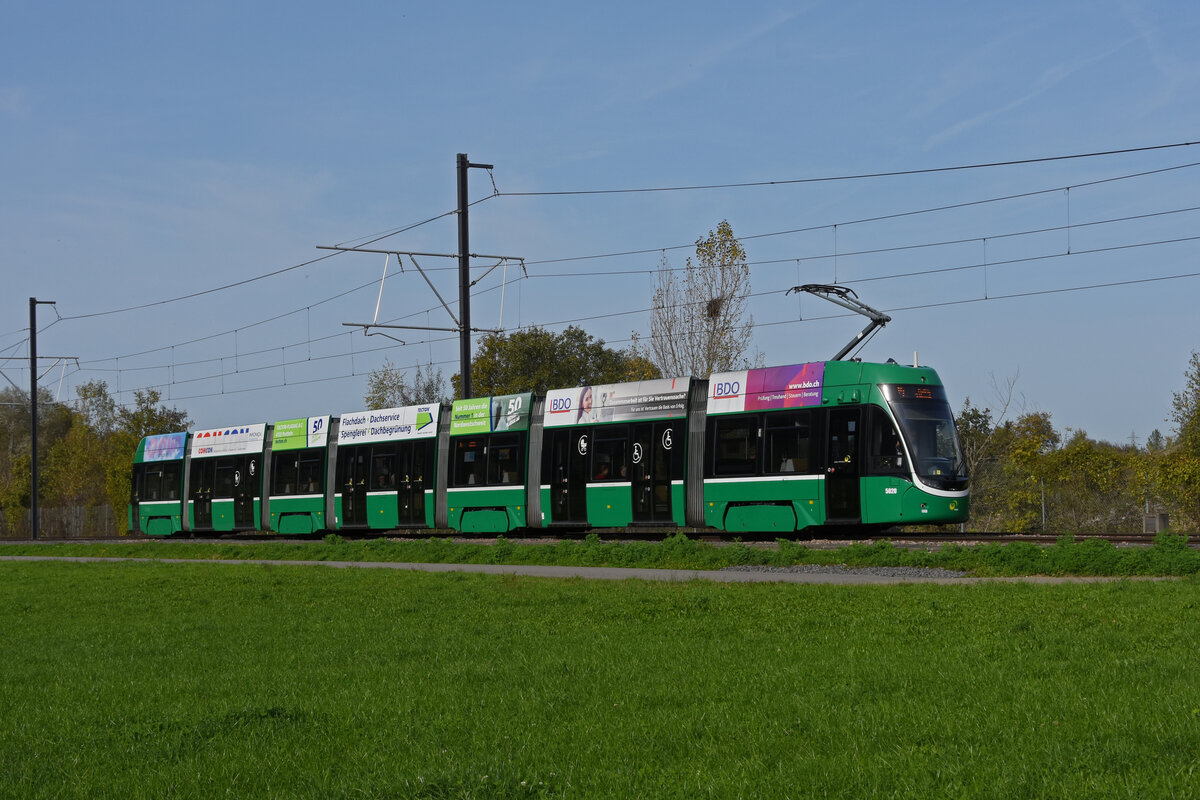 Be 6/8 Flexity 5020, auf der Linie 14, fährt am 29.10.2022 zur Haltestelle Lachmatt.