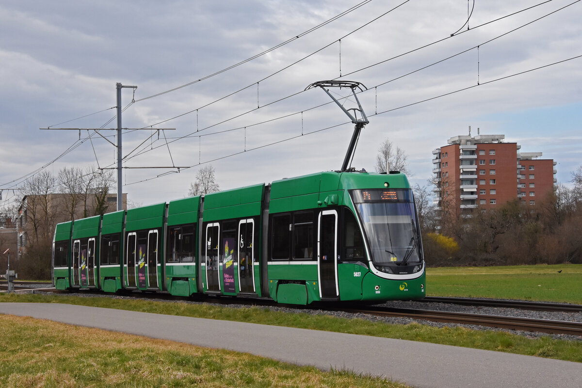 Be 6/8 Flexity 5027, auf der Linie 14, fährt am 11.03.2025 zur Haltestelle Lachmatt. Aufnahme Muttenz.