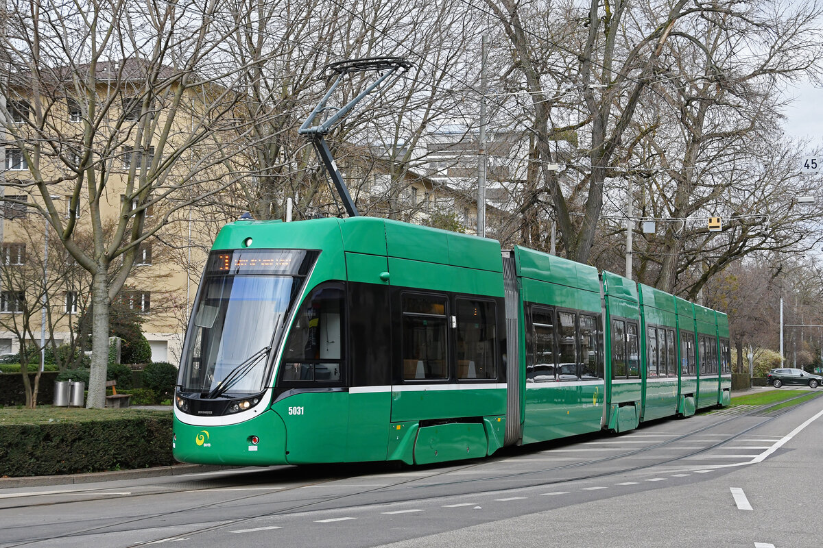 Be 6/8 Flexity 5031, auf der Linie 3, fährt am 12.02.2024 zur Haltestelle am Aeschenplatz.