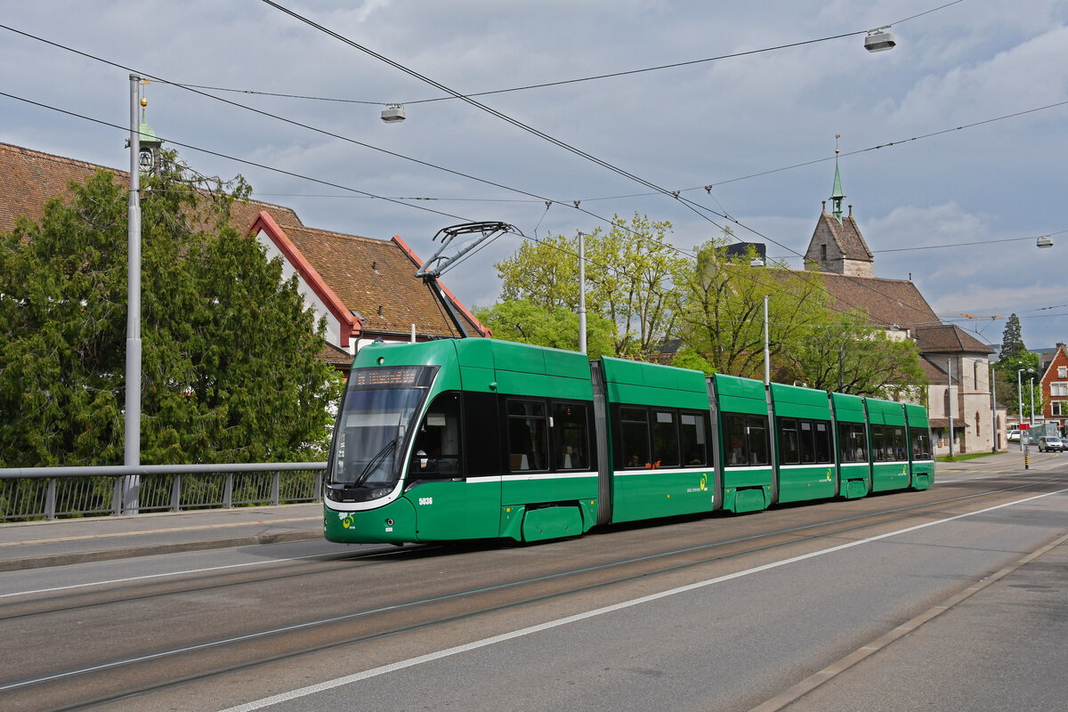 Be 6/8 Flexity 5036, auf der wegen einer Grossbaustelle am Steinenberg umgeleiteten Linie 6, überquert am 15.04.2024 die Wettsteinbrücke.