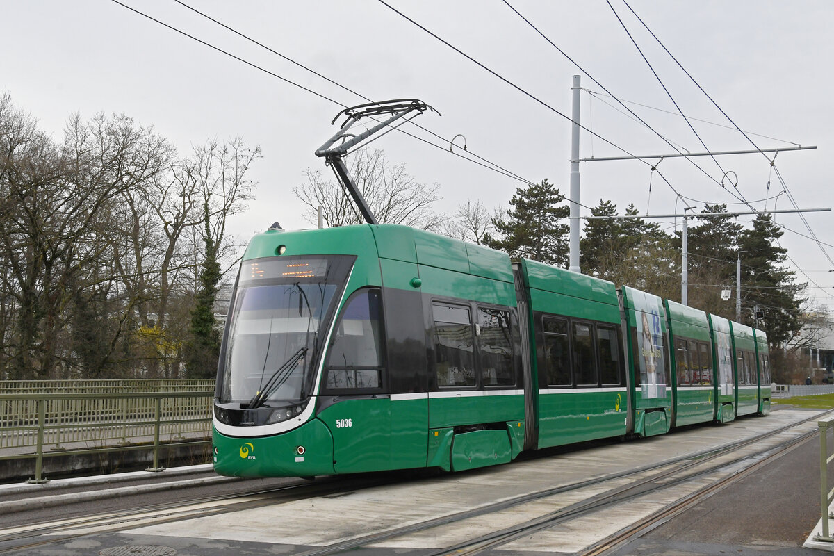 Be 6/8 Flexity 5036, auf der Linie 14, fährt am 10.03.2025 zur Haltestelle Freidorf. Aufnahme Basel.