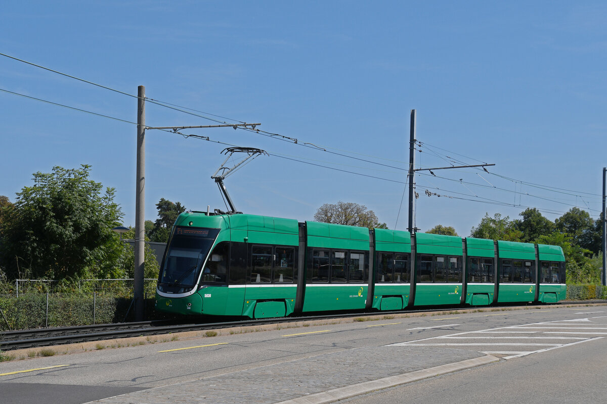 Be 6/8 Flexity 5036, auf der wegen einer Grossbaustelle umgeleiteten Linie 14, fährt am 18.08.2025 zur Haltestelle Münchensteinerstrasse. Aufnahme Basel.