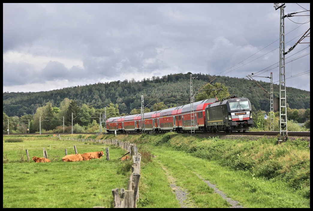 Beacon 193866 Dispo ist hier bei Wirtheim am 4.101.2024 um 14.58 Uhrmit einem RE in Richtung Hanau unterwegs. 