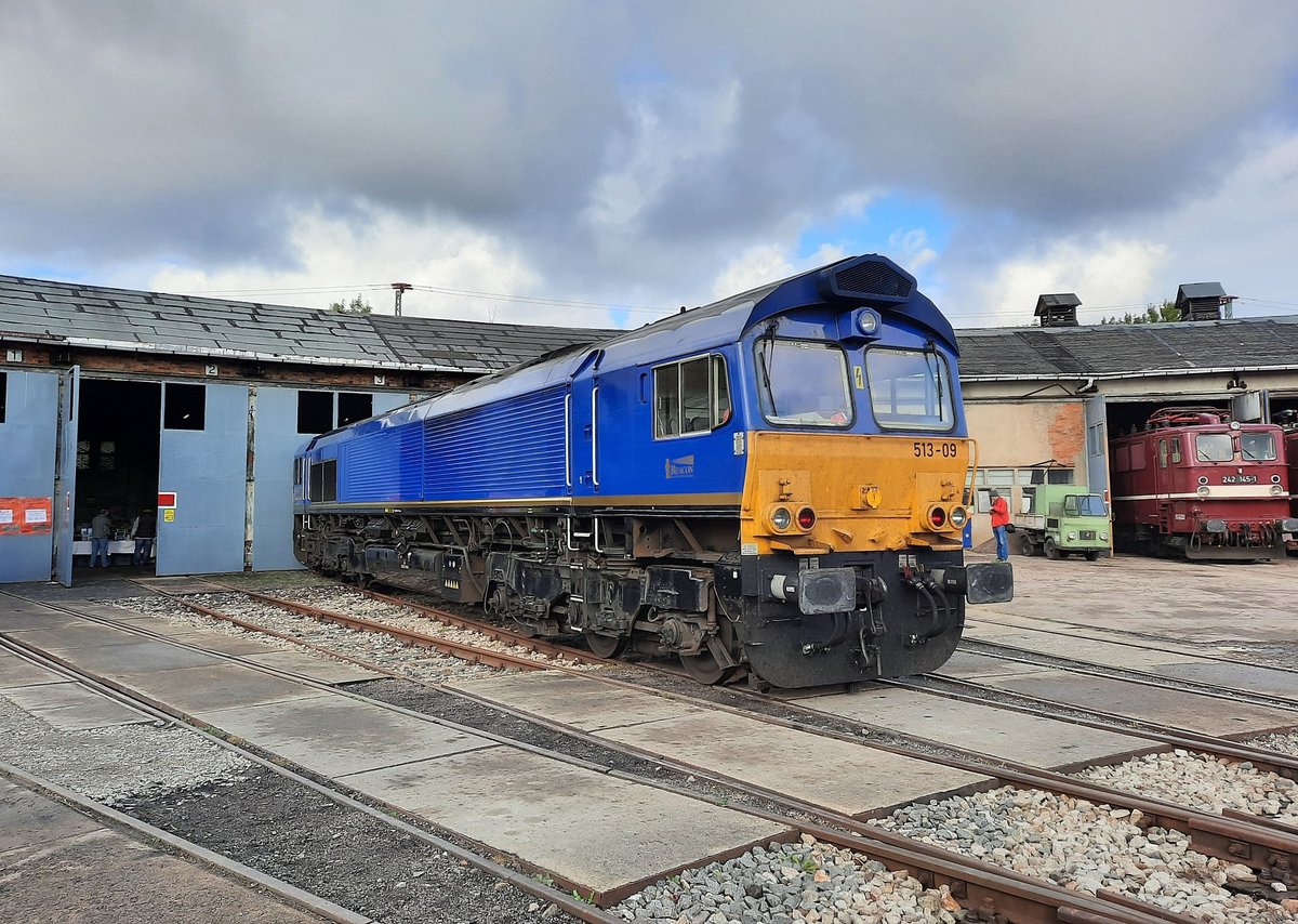 Beacon Rail Leasing Ltd 513-09 (92 80 1266 036-3 D-BRLL) am 11.10.2020 beim Eisenbahnfest zum Zwiebelmarkt beim TEV Weimar. 