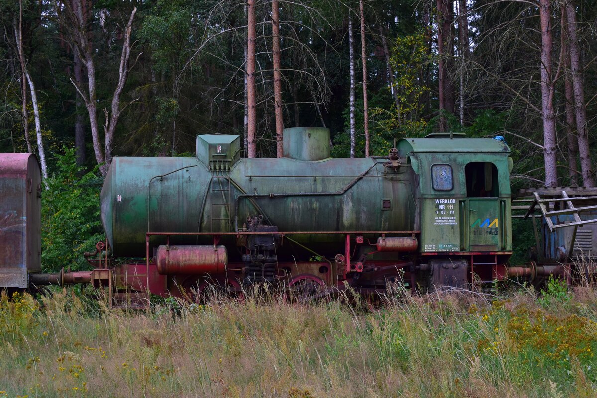 Bei einem Kartoffellager konnten wir ein paar Fahrzeuge der Ostheide-Elbe-Bahn fotografieren. So auch eine Dampfspeicherlok welche zuvor bei der MIRAG als Werklok 111 aktiv war. Die Fahrzeuge waren frei zugänglich.

Pudripp 31.07.2021
