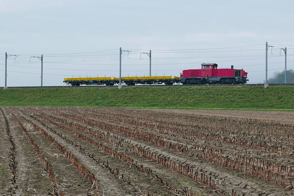 Bei Eschikofen fährt am 01.11.2019 eine Am 841 mit zwei Flachwagen in Richtung Weinfelden.