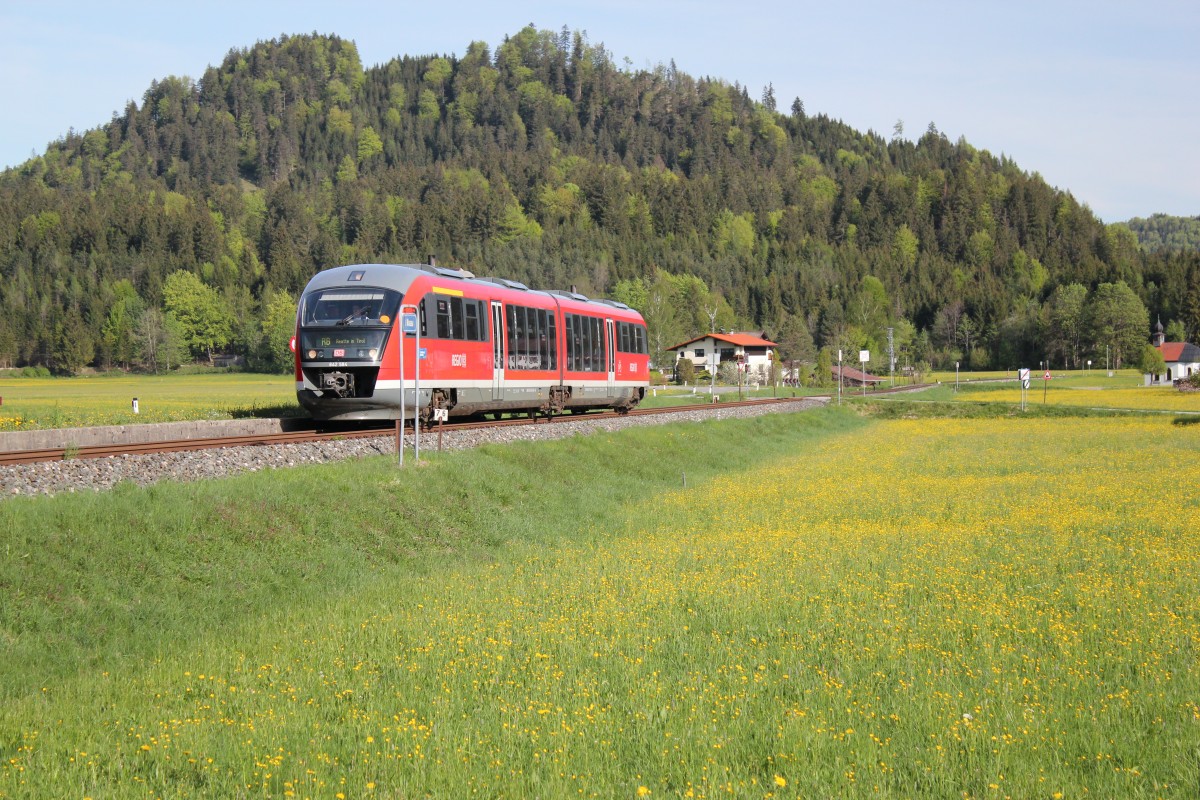 Bei der Haltestelle Musau an der Ausserfernbahn konnte ich im Mai 2012 eine Dieseltriebwagen de Reihe 642 ablichten, Mai 2012