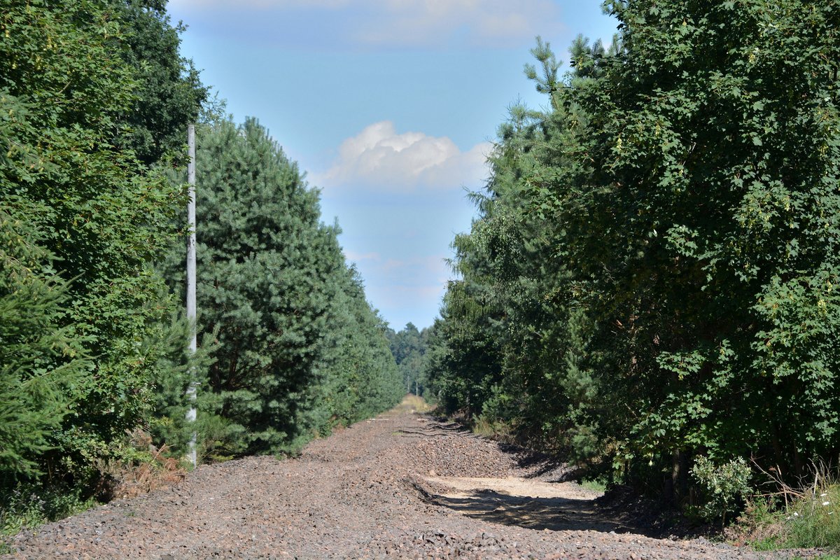 Bei Nedlitz stehen zwar noch die Masten von der Elektrifizierung 1993 doch die Gleise und Oberleitung sind schon abgebaut.

Nedlitz 20.07.2016