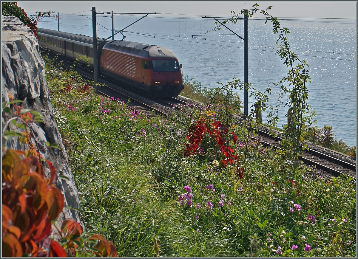 Bei den nun langsam auftauchenden Herbstfarben wird die Bahn fast zur Nebenschache...
SBB Re 460 mit dem IR 1822 bei St-Saphorin am 3. Okt. 2015.
