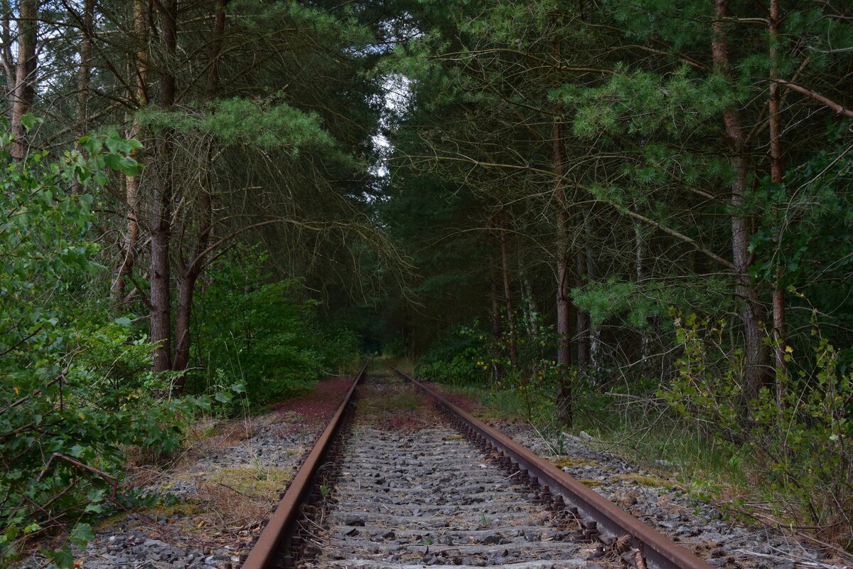 Bei Pudripp konnte ich die alte Bahnstrecke Dannenberg - Uelzen entdecken. Hier fahren heute auf einem Abschnitt Draisinen.

Pudripp 31.07.2021