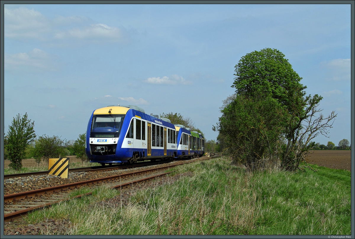 Bei schönstem Frühlingswetter sind V 873 und VT 804 am 01.05.2016 als HEX 80148 von Magdeburg nach Thale und Blankenburg im Einsatz, hier zwischen Bottmersdorf und Klein Germersleben. Im Vordergrund ist das stillgelegte Streckengleis von Blumenberg nach Egeln zu sehen, das über einen längeren Abschnitt parallel zur Strecke nach Halberstadt verläuft. 
