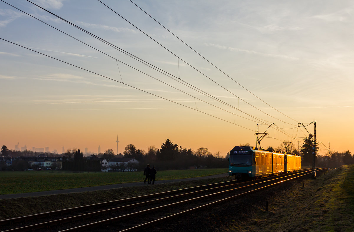Bei schönster Abendsonne fahren diese beiden U4-Wagen der VGF auf der Linie U4 in Bonames vor der Frankfurter Skyline ihrem Endbahnhof Nieder-Eschbach entgegen