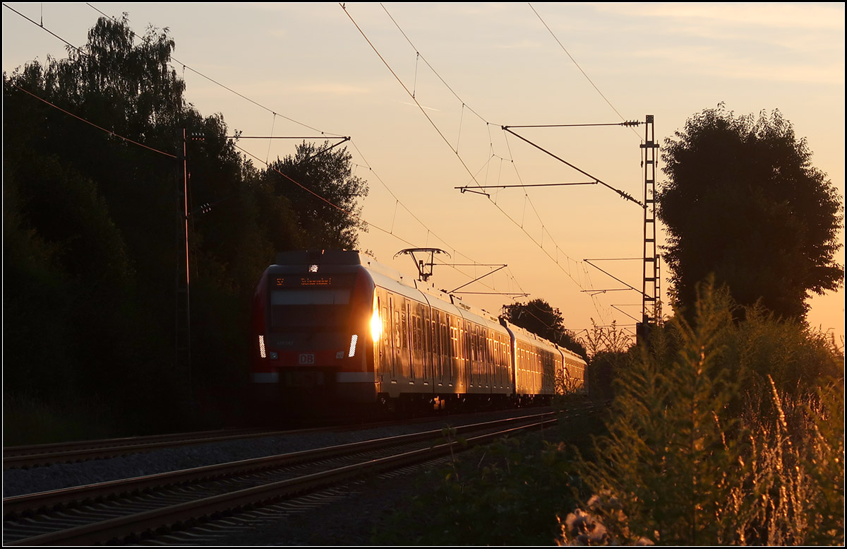 Bei sehr flach stehender Sonne -

S-Bahnzug der Baureihe 430 auf der S2 bei Weinstadt-Endersbach.

23.07.2010 (M)