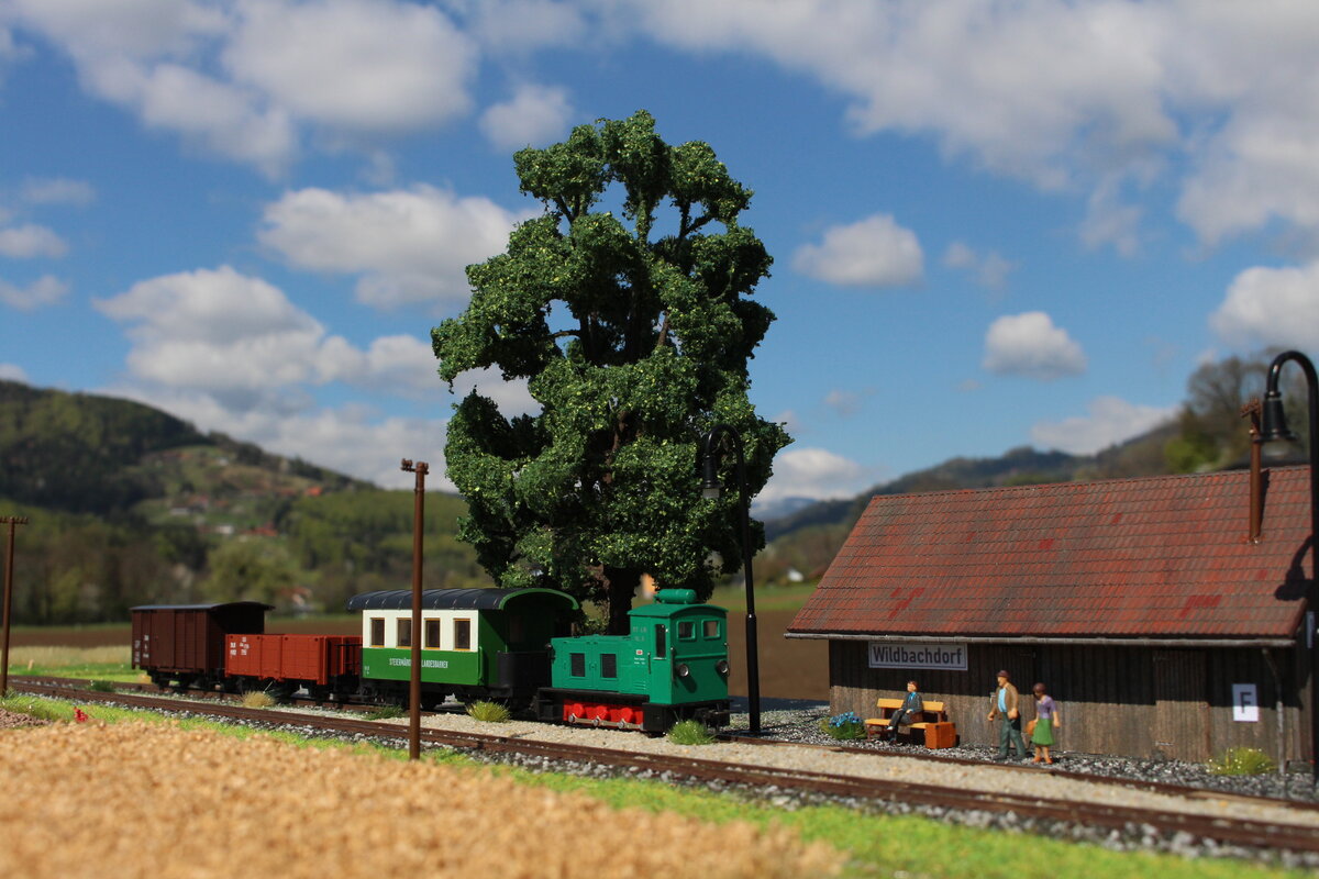 Bei sehr wenig Fracht an Wochenenden fährt in den Umläufen der GmPs zwischen Wildbach und Frauental-Bad Gams immer wieder die HF130C VL3.
Ein lauer September Sonntag 1977 versprach ein toller Tag zu werden und bot bestes Wetter diesen seltenen Einsatz zu dokumentieren.
Bild vom 20.4.2022