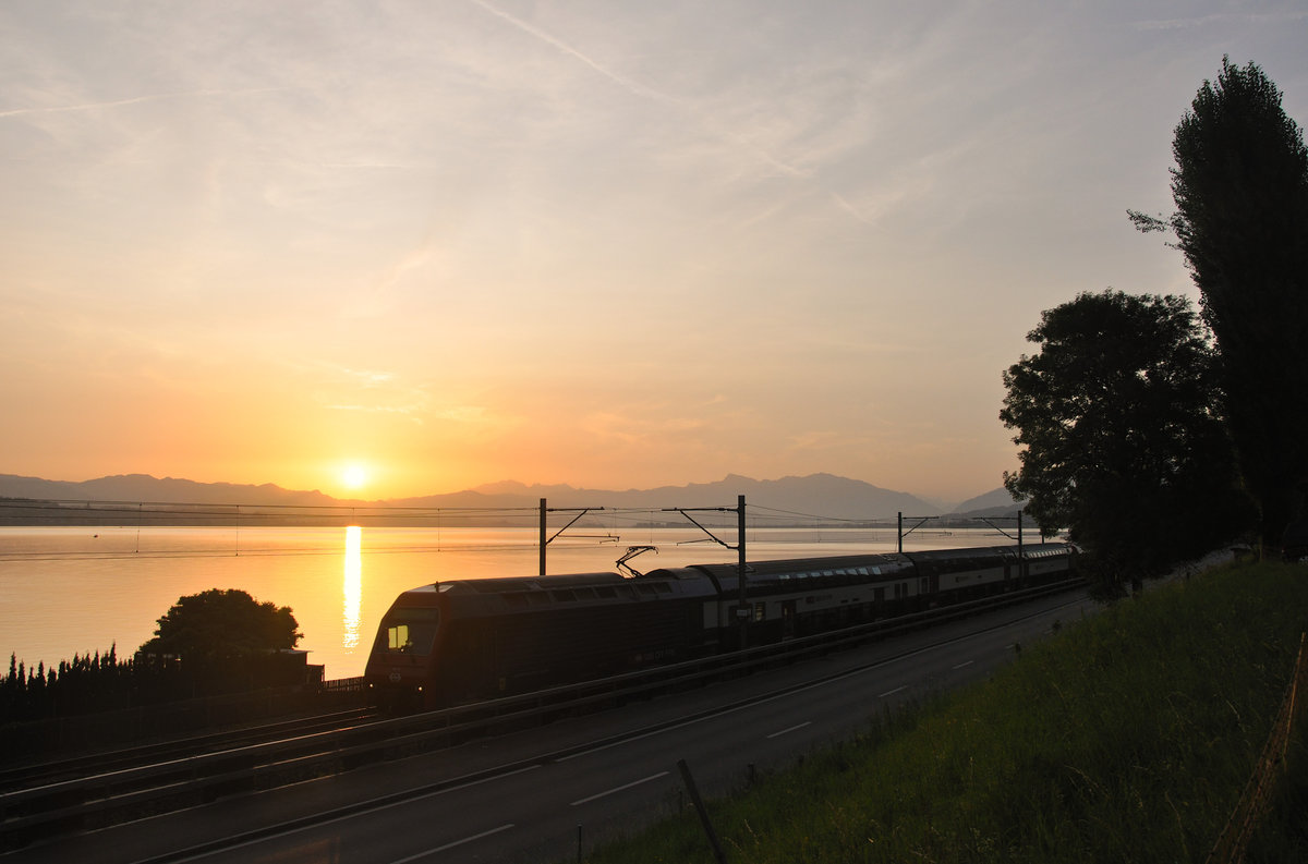 Bei Sonnenaufgang fährt eine doppelt geführte DPZ-Komposition als S25 vorüber. Aufgenommen zwischen Wädenswil und Richterswil am 30.08.2017