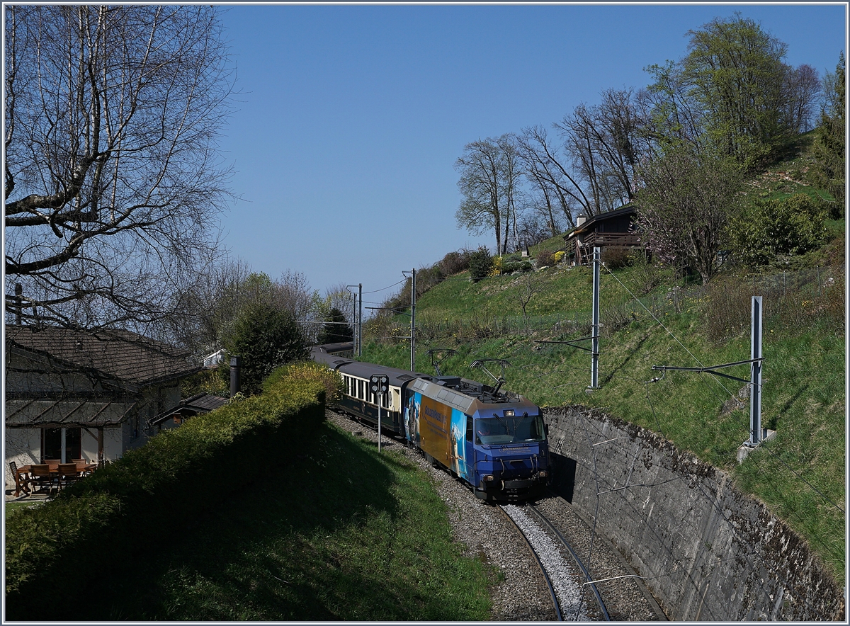 Bei Sonzier ist eine der beiden Ge 4/4 Serie 8000 in GoldenPass Line Lackierung mit einem GoldenPass Classic auf der Fahrt von Zweisimmen nach Montreux. 

3. April 2017