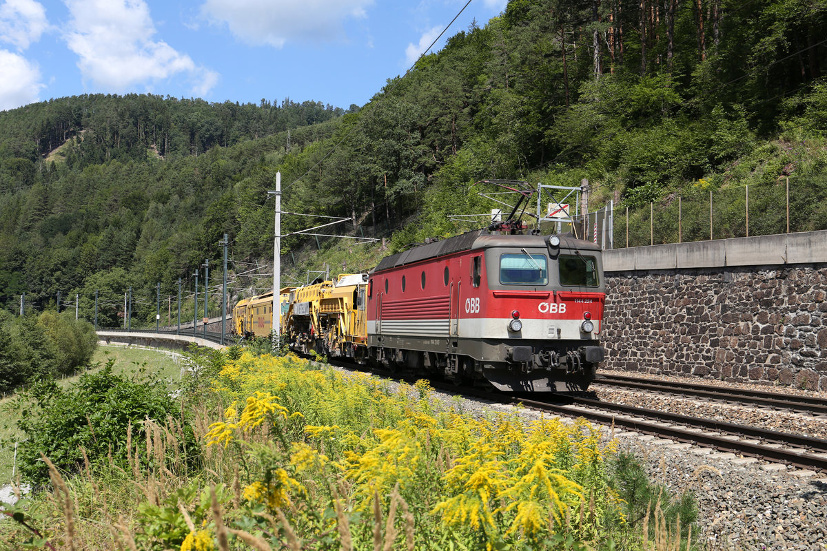 Bei der Steinmauer im S-Bogen kurz vor Gloggnitz befindet sich 1144.224 mit einen S-GZ am 15.8.17