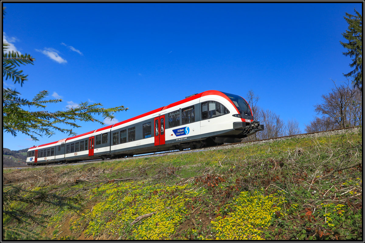 Bei strahlendem Sonnenschein habe ich heute meine  Neue  Fotostelle zwischen Schlangen Mücken , Fliegen einigen Buschwindröschen und sogar einem Specht wieder besucht. 
Frühling in der Weststeiermark am 26.März 2019