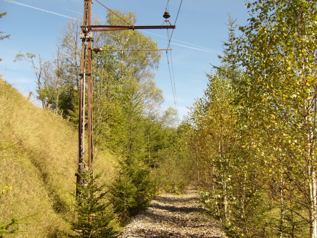 Bei St.Sebastian Rasing wächst nach dem Abbau des Gleiskörpers auf der steirischen Seite der Mariazellerbahn der aufgelassene Teil der Bahn zwischen Mariazell und Gußwerk langsam zu, September 2010