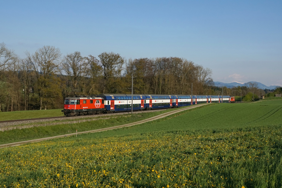 Bei tiefstehender Abendsonne konnte die Re 420 221 mit einer S19 in Illnau abgelichtet werden.