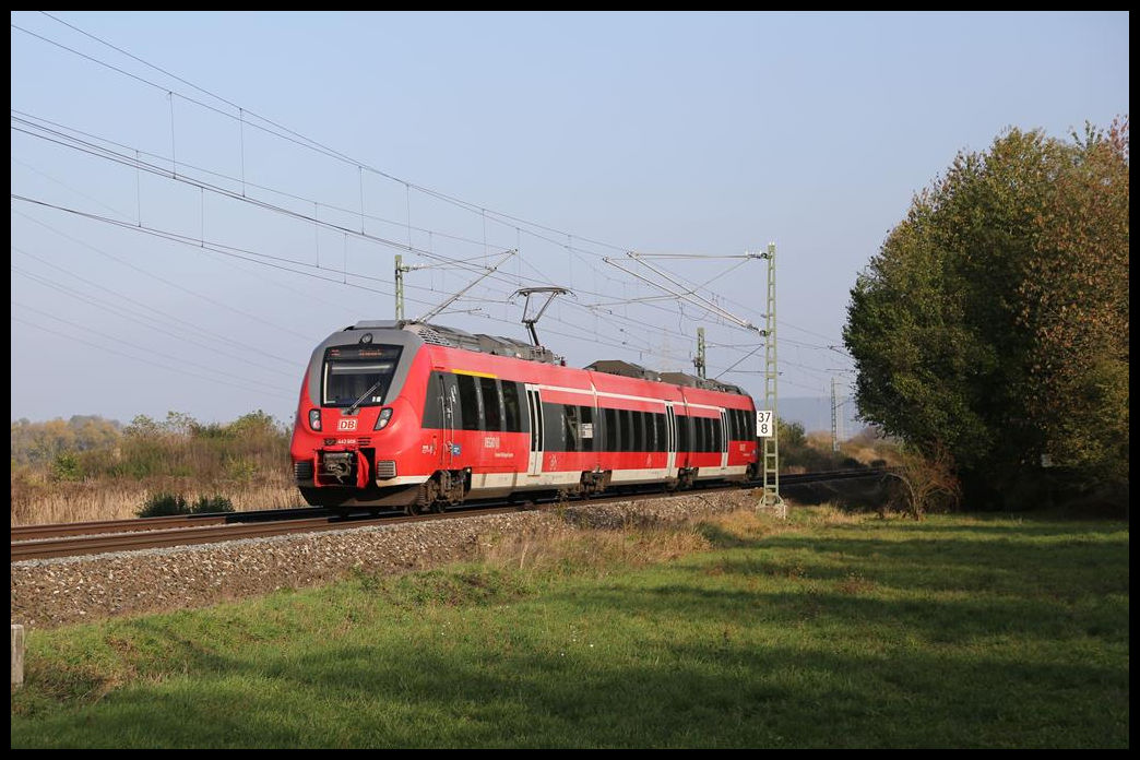 Bei Trieb ist hier der ET 442606 am 23.10.2019 um 15.29 Uhr in Richtung Kronach und weiter nach Saalfeld unterwegs.