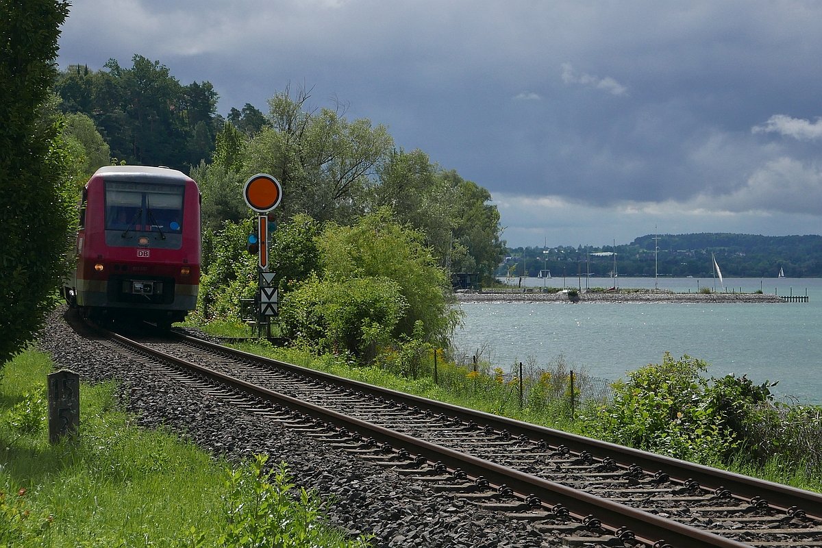 Bei berlingen-Goldbach fhrt 611 512, am 19.08.2017 unterwegs als IRE 3044 von Ulm nach Basel, am Bodensee entlang.