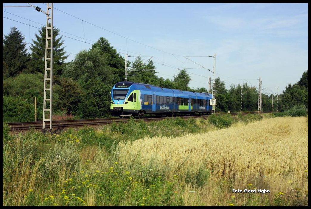 Bei Westerhausen war am 6.8.2015 um 8.54 Uhr der ET 007 der Westfalenbahn in Richtung Bielefeld unterwegs.